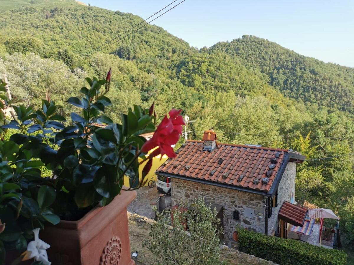 Deliziosa Casetta Sull'Appennino Toscano Montefegatesi Kültér fotó